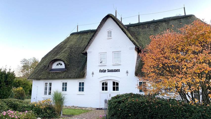 Ferienwohnung für 5 Personen, mit Sauna und Garten, mit Haustier - 1