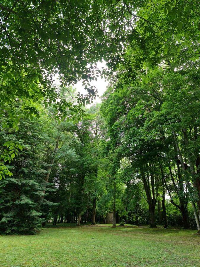 Location de vacances pour 2 personnes, avec vue et jardin à Lusigny-sur-Barse - 4