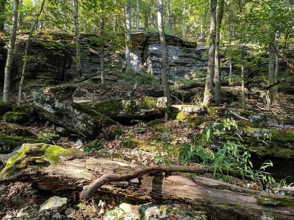 Adventure Cabin 2 with King Bed and Private Hot Tub in Eureka Springs, Carroll County (AR)