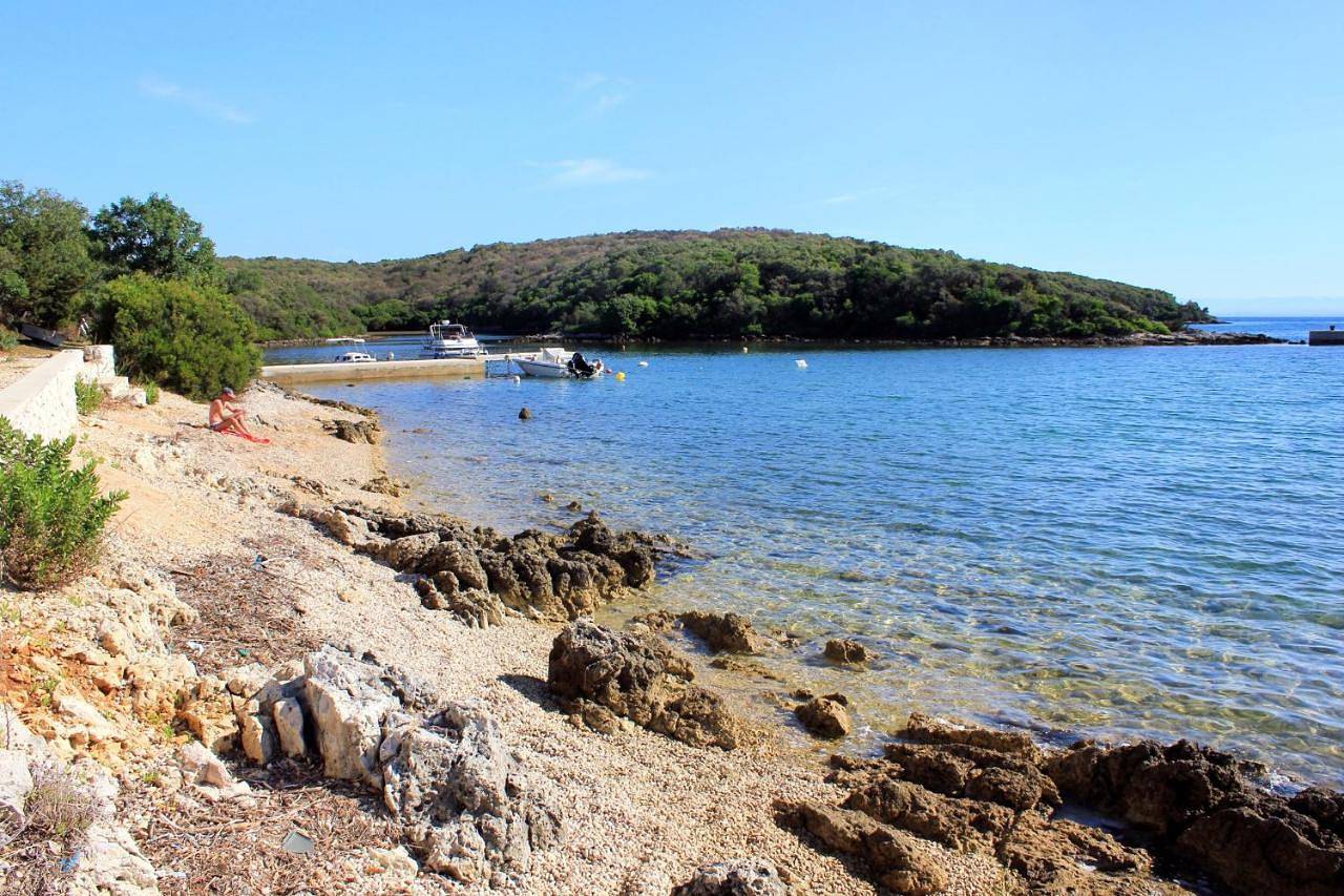 Ganze Wohnung, Apartments with parking space Punta kriza, Cres - 867 in Cres