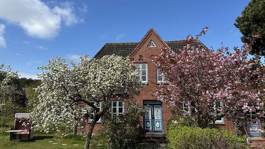 Ganze Ferienwohnung, Haus Sommerwind - 2-Raum-Fewo 13024 - 2 Silbermöwe in Nordfriesische Inseln (Schleswig-Holstein) (Schleswig-Holstein), Nebel