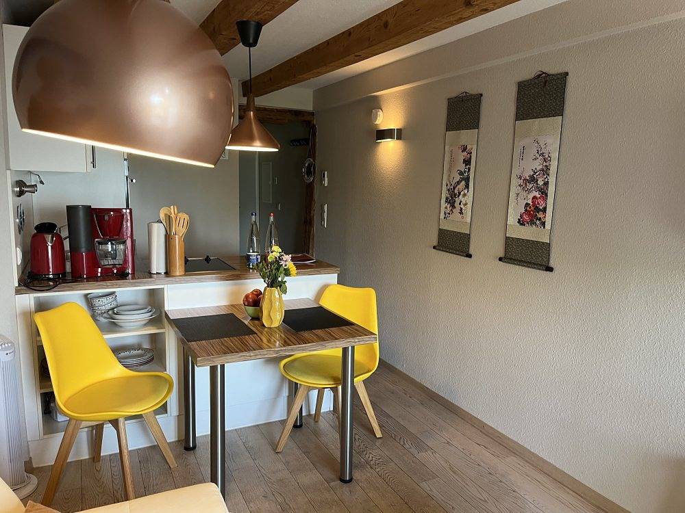 Entire holiday apartment, Mainaublick-Traumseesicht mit Terrasse - Mainaublick in Meersburg, Region Bodensee-Oberschwaben