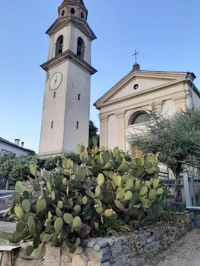 Gîte pour 6 personnes, avec vue ainsi que jardin et piscine à Cinto Euganeo - 4