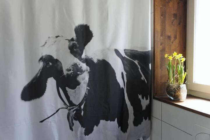 Ferienwohnung für 4 Personen, mit Garten und Ausblick in Bönigen