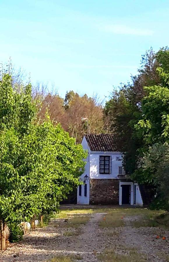 Casa rural para 4 personas, con Terraza además de Piscina y Vistas en Hornachuelos
