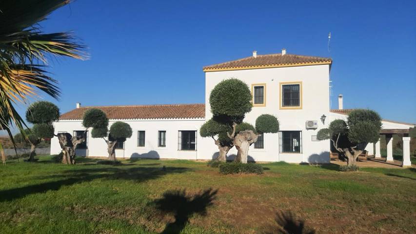 Casa rural para 20 personas, con piscina y vistas además de jardín y terraza, Se admiten mascotas en El Coronil