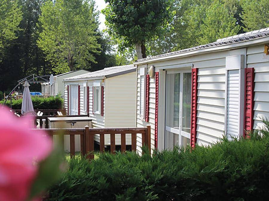 Camping L'Etang Bleu - Mobilhome 5 personnes - Eva 8003 in Vieux-Mareuil, Parc naturel régional Périgord-Limousin