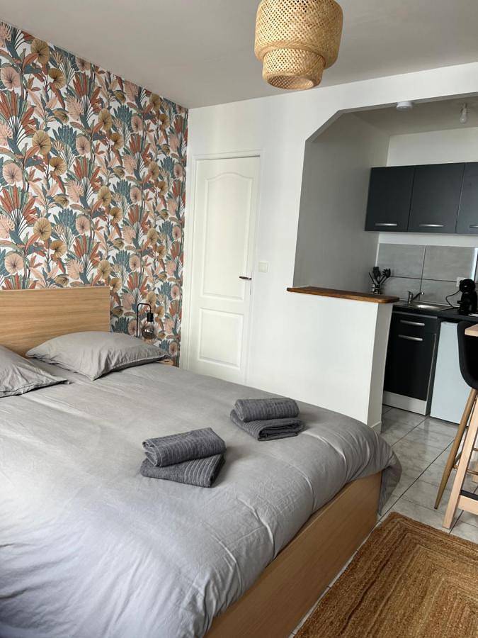 Appartement entier, One-Bedroom Apartment in Vierzon, Région de Vierzon