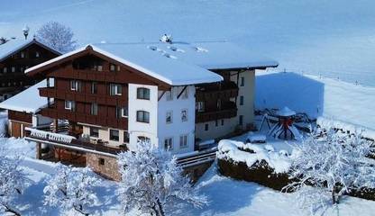 Hotel voor 5 Personen in Niederau, Wildschönau, Afbeelding 2