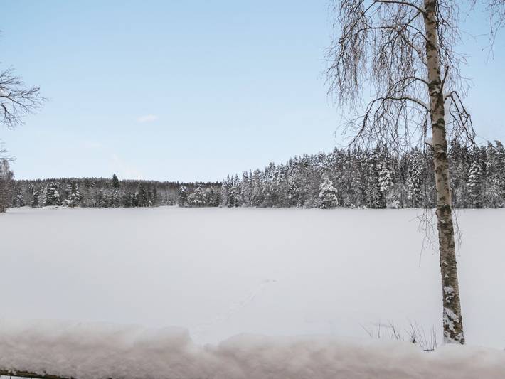 Lepikko in Vihtajärvi
