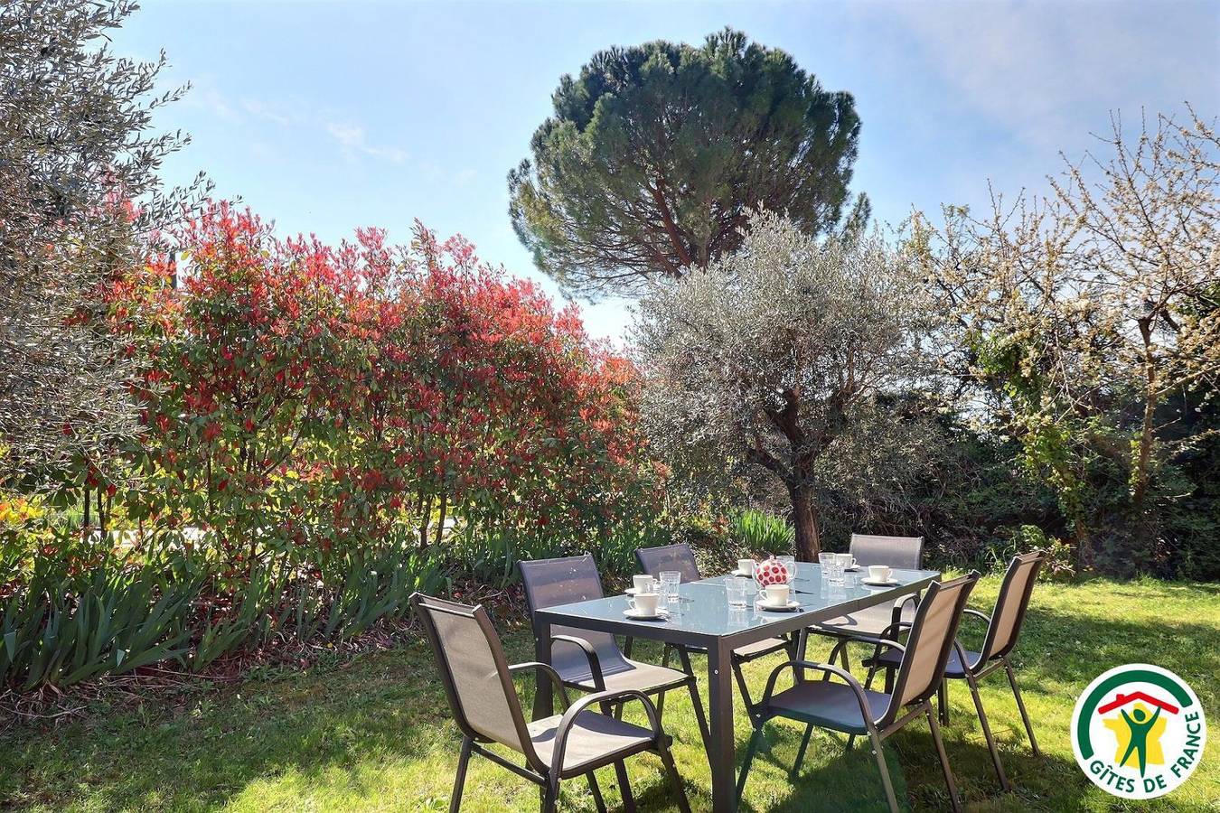 La Cigale Bleue in Mirabel-aux-Baronnies, Région de nyons