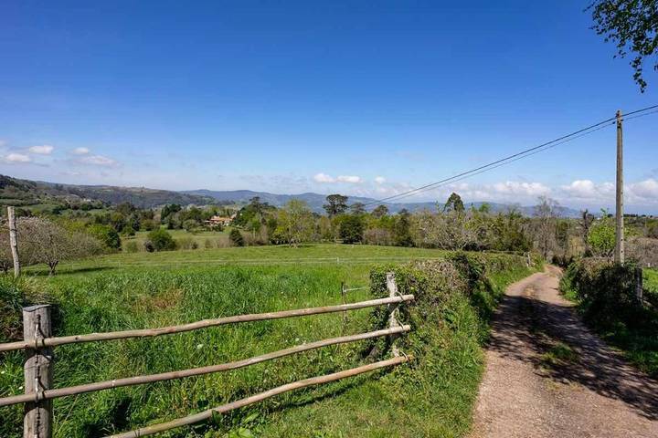 Casa rural para 5 personas, con jardín en Villaviciosa  - 4