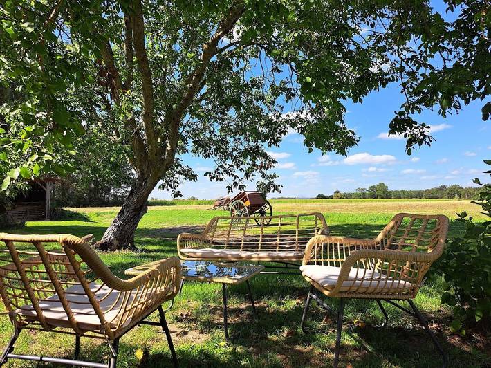 Gîte pour 4 personnes, avec terrasse ainsi que jacuzzi et jardin, animaux acceptés dans le Loir-et-Cher - 4