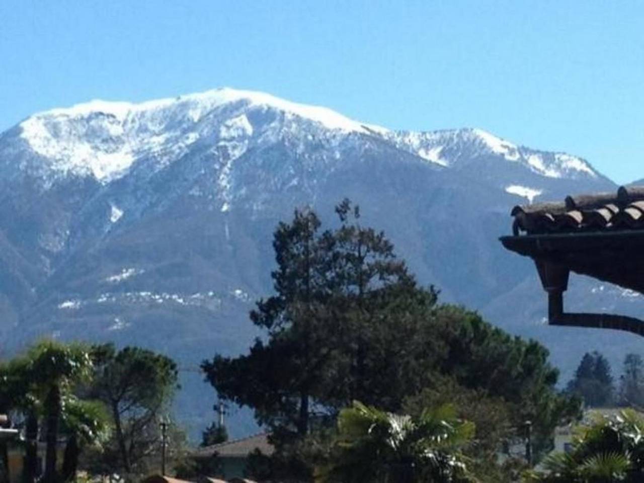 Ganze Wohnung, Casa Viola in Losone, Tessiner Alpen
