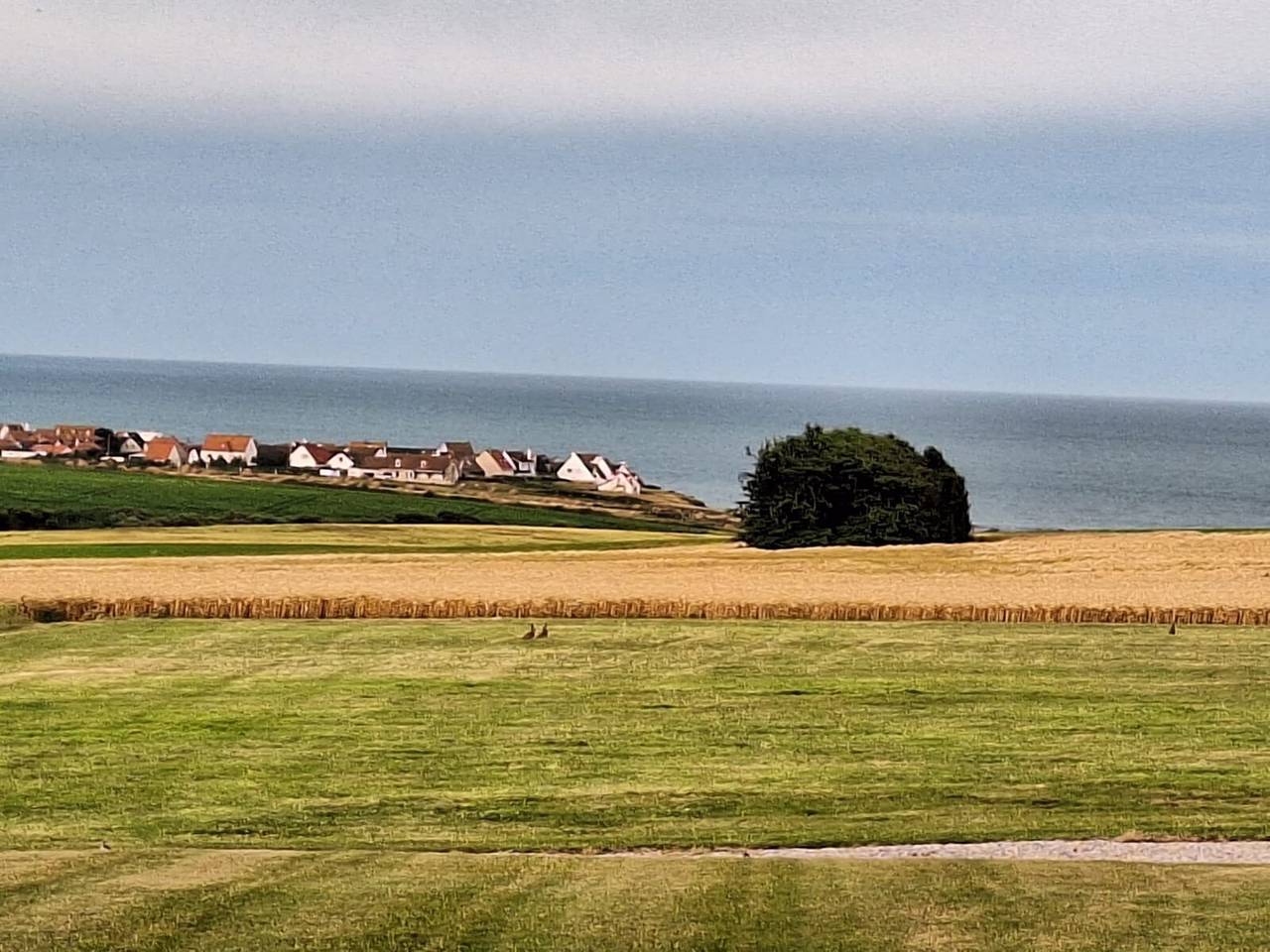 Gîte rural le vent du nord - Ferme des 4 Vents in Audinghen, Boulogne-sur-Mer region