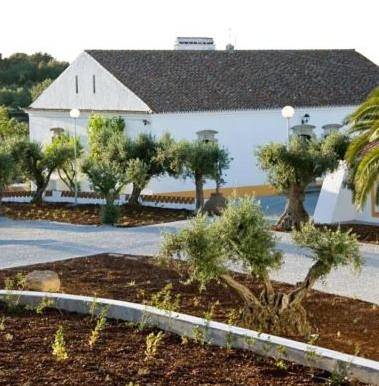 Hôtel pour 2 personnes, avec jardin ainsi que vue et piscine, animaux acceptés à Évora - 2