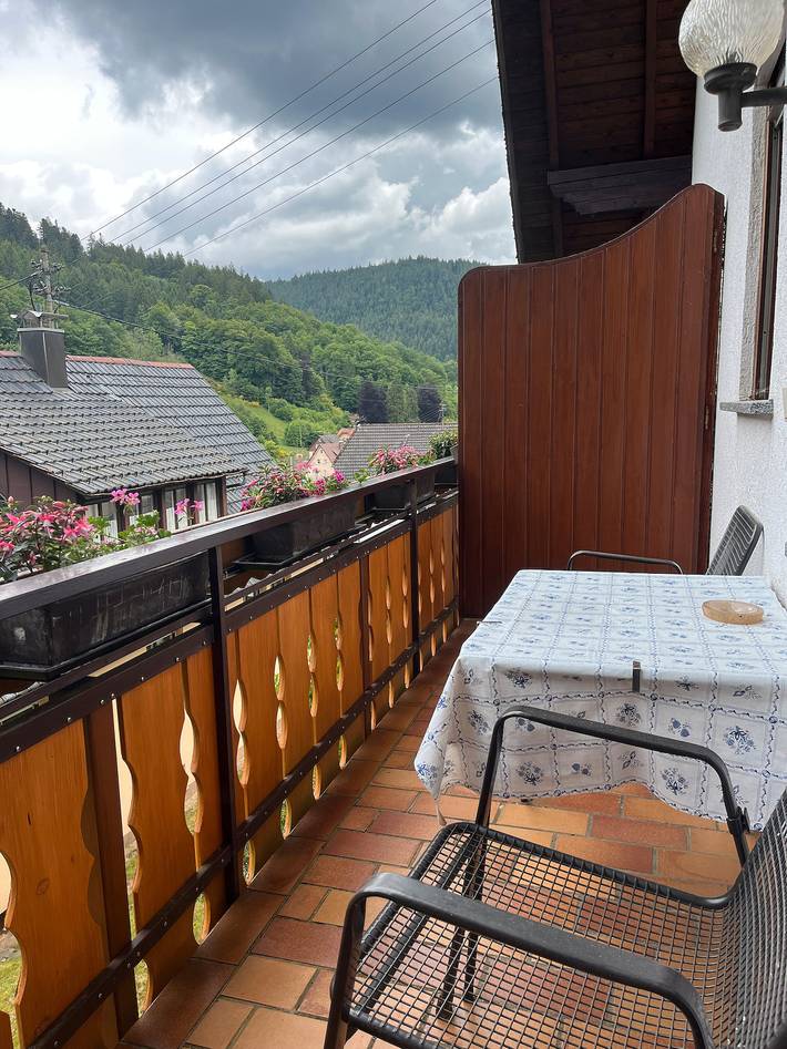 Ferienwohnung für 3 Personen, mit Balkon und Garten in Bad Rippoldsau-Schapbach - 2