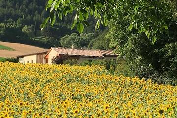 Location de vacances pour 4 personnes, avec terrasse et jardin, animaux acceptés à Die