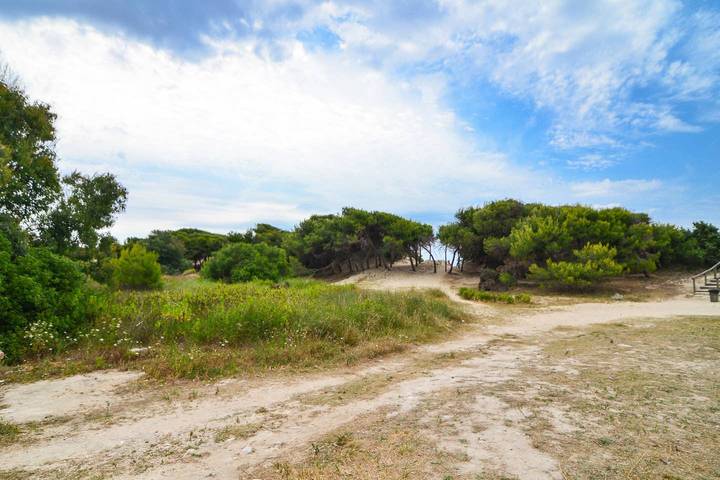 Casa Vacanza Ida 1A con accesso diretto alla Spiaggia di Punta Prosciutto in Lido Punta Prosciutto, Porto Cesareo