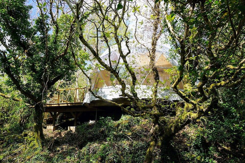 Maison dans les arbres-Prestige-Sdb privée avec douche-Vue sur le bois-Treeho... in Connemara