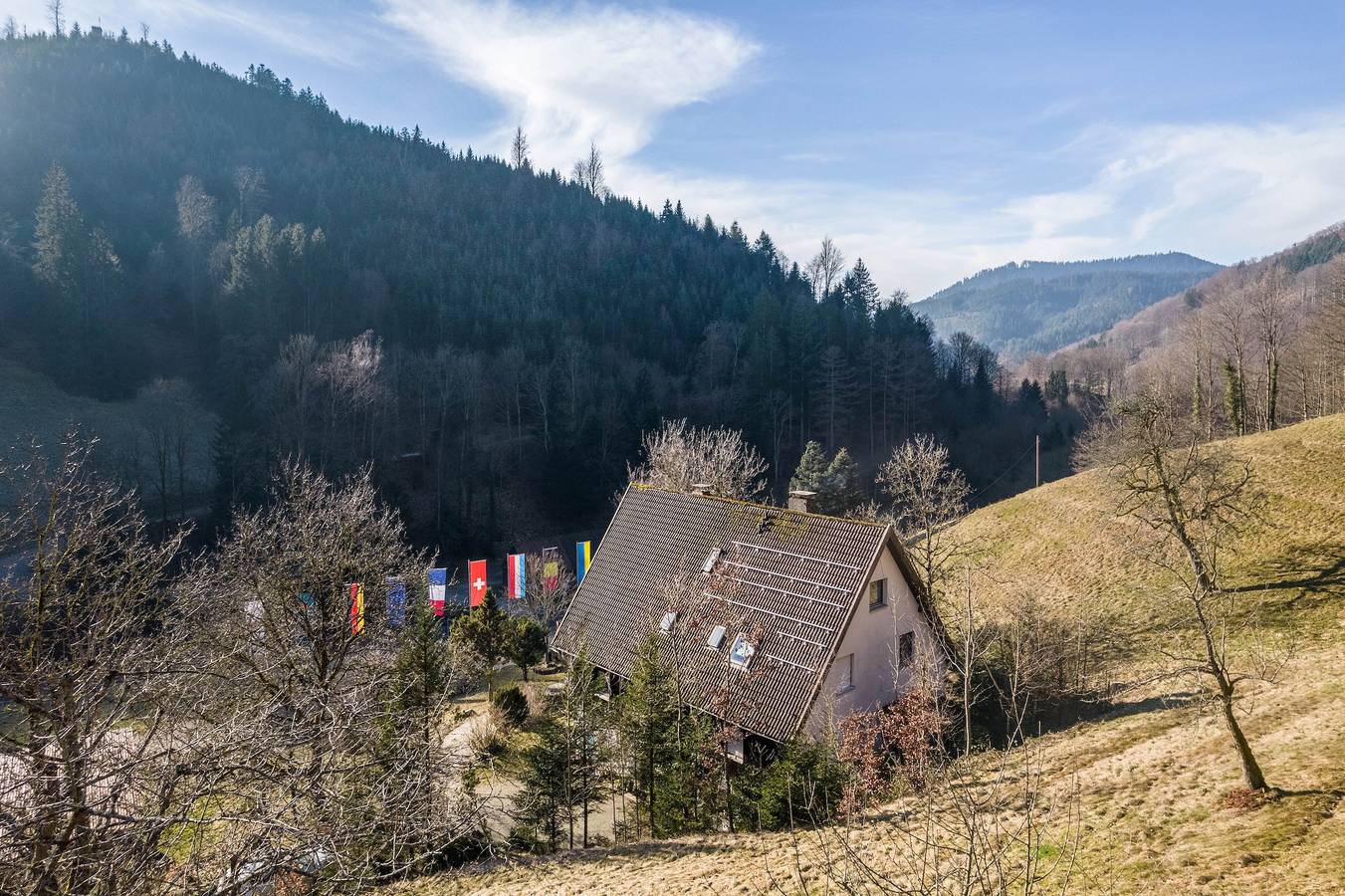 Ganze Wohnung, Ferienwohnung Frechehof 136 qm mit Bergblick, Gemeinschaftsgarten und Wlan in Bad Peterstal-Griesbach, Mittlerer Schwarzwald