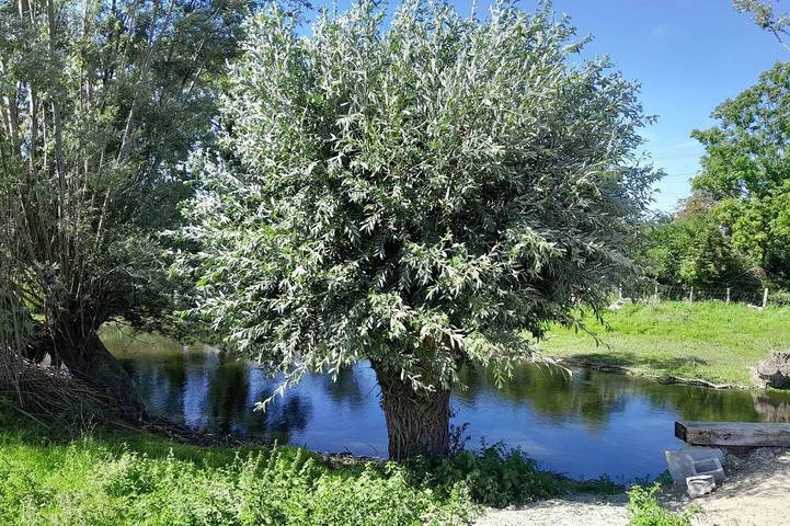 Un air de campagne in Millam, Dünkirchen und Umgebung
