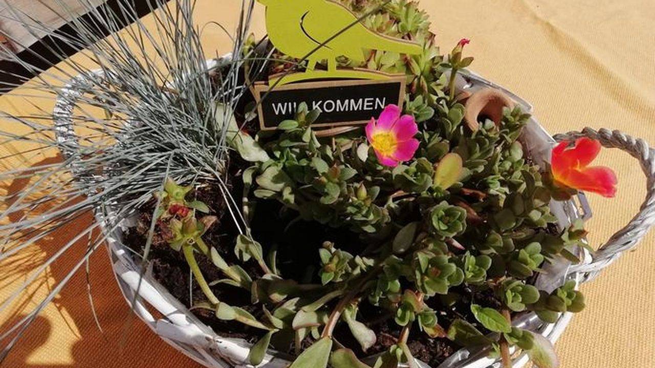 Ganze Ferienwohnung, Ferienwohnung für 6 Personen (150 m²) in Arzl im Pitztal in Kaunergrat, Arzl im Pitztal