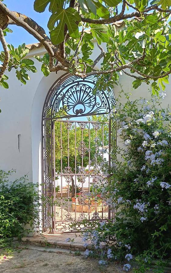Casa rural para 8 personas, con Balcón y Terraza además de Jardín y Piscina en Montilla