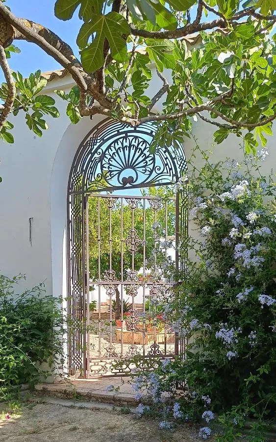 Villa für 8 Personen, mit Garten und Pool sowie Ausblick - 1