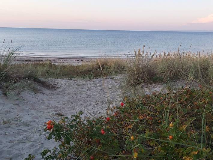 Ferienhaus für 14 Personen, mit Garten und Pool sowie Terrasse, mit Haustier an der Kattegat Küste
