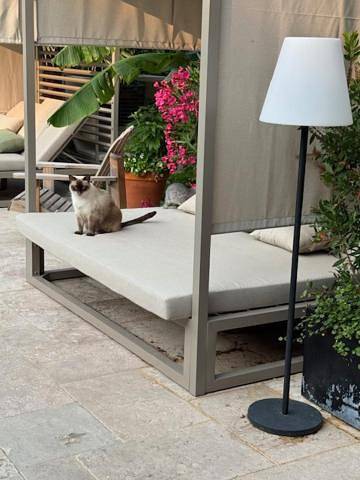 Chambre d’hôte pour 2 personnes, avec vue et terrasse ainsi que piscine et jardin à Orange - 3