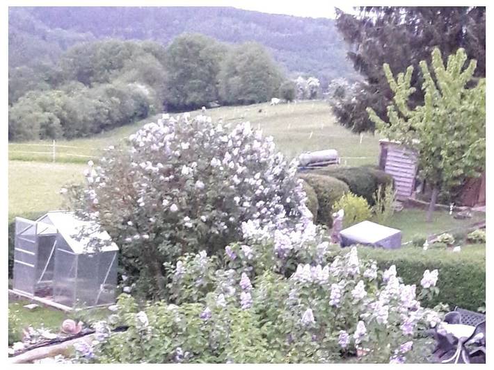 Appartement de vacances avec 1 chambre in Waldeck, Arrondissement de Waldeck-Frankenberg