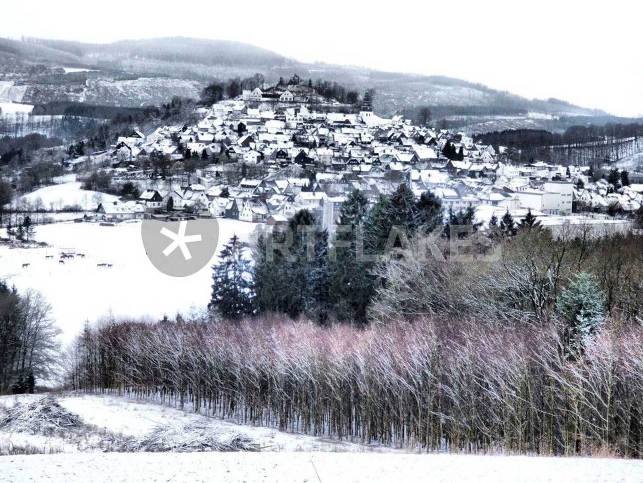 Ganze Ferienwohnung, Ferienwohnung/ Montage  Meschede-Eversberg - Eversberg 3 in Meschede, Hochsauerlandkreis