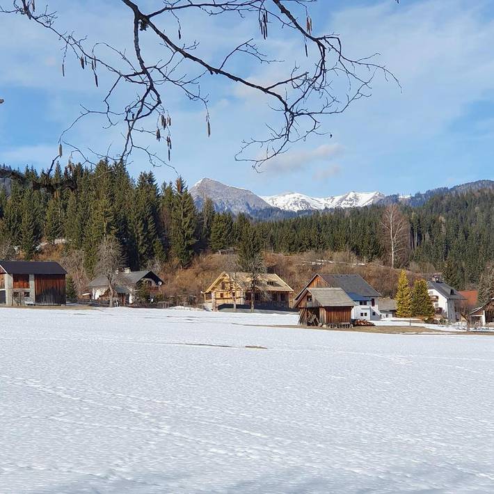 Ferienwohnung für 4 Personen, mit Ausblick und Garten in Gitschtal