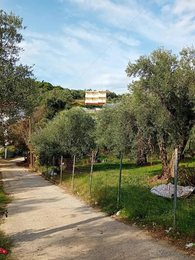 Appartement de vacances pour 2 personnes, avec Balcon et Terrasse ainsi que Jardin et Vue dans Skiathos - 3