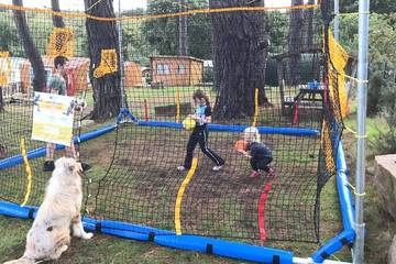 Camping pour 2 Personnes dans Perros-Guirec, Région de Lannion, Photo 4