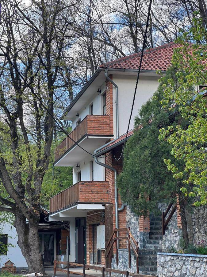 Gîte pour 3 personnes, avec vue, animaux acceptés à Despotovac - 3