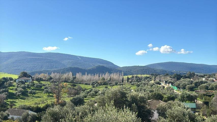 Casa rural para 6 personas, con jardín, Se admiten mascotas en Parque natural de Los Alcornocales - 3