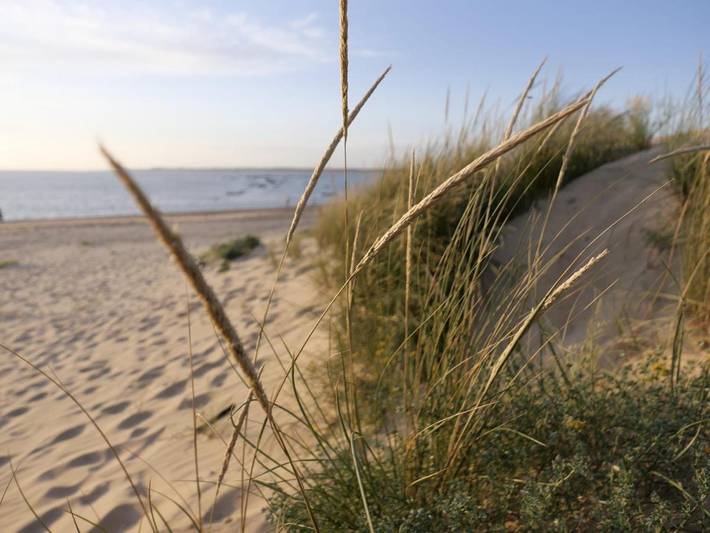 Gîte pour 2 personnes, avec vue à Sanlúcar de Barrameda - 3
