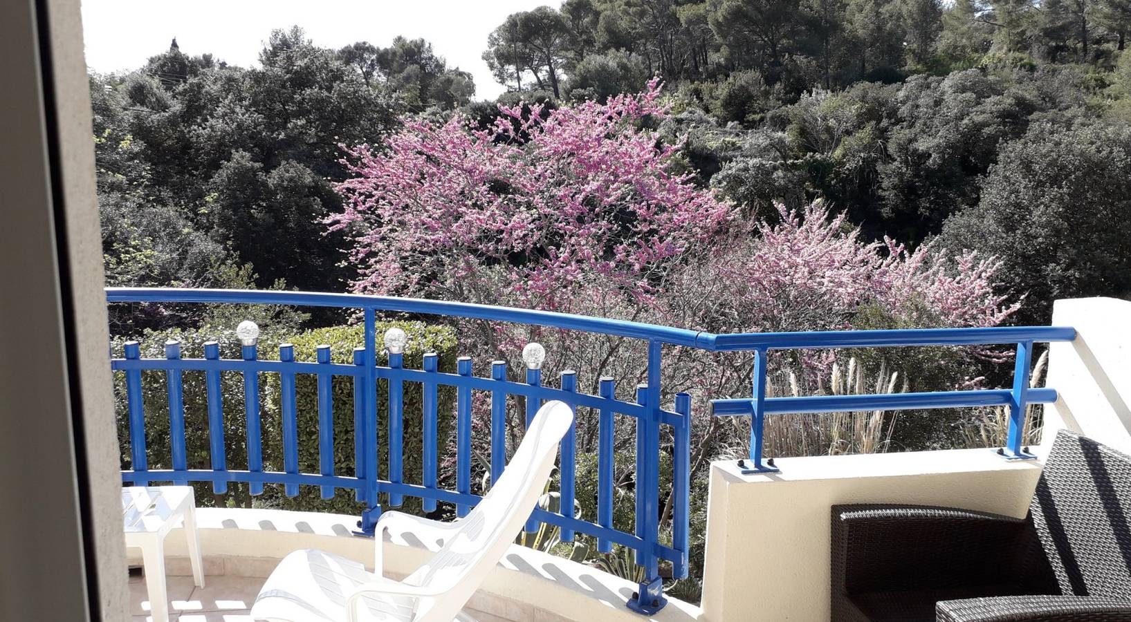 Appartement entier, Cosy 40 m², 4 pers. vue mer, 100 m de la plage, Wifi, 2 terrasses in Saint-Raphaël, Massif de l'Esterel