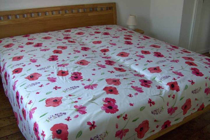 Ferienhaus für 4 Personen, mit Terrasse in Friedrichstadt - 2