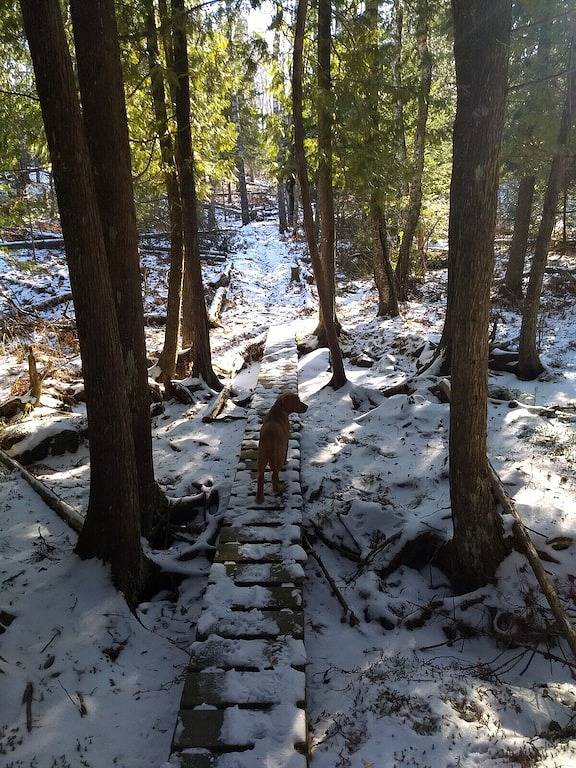 Vacation rental for 8 people, with hot tub and yard in Minnesota