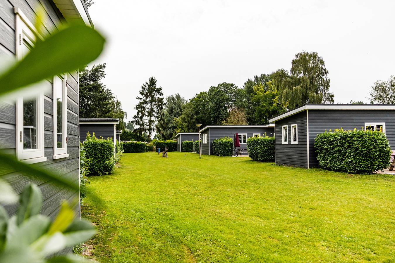 De Scherpenhof — Oeverland Chalet Komfort | 5 Personen in IJssel