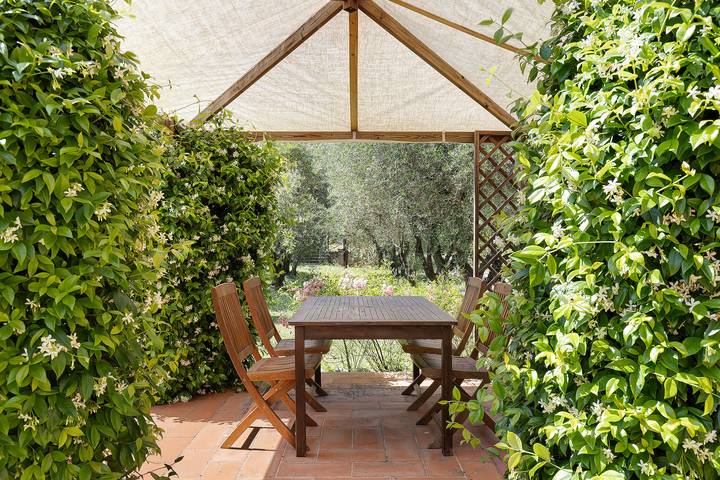 Maison de vacances pour 4 personnes, avec jardin, animaux acceptés à San Gimignano