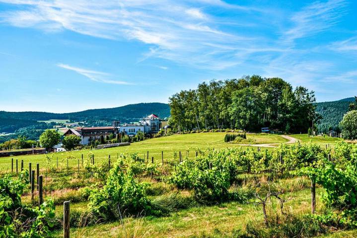 Hotel für 2 Personen, mit Garten und Ausblick sowie Sauna und Pool, mit Haustier
