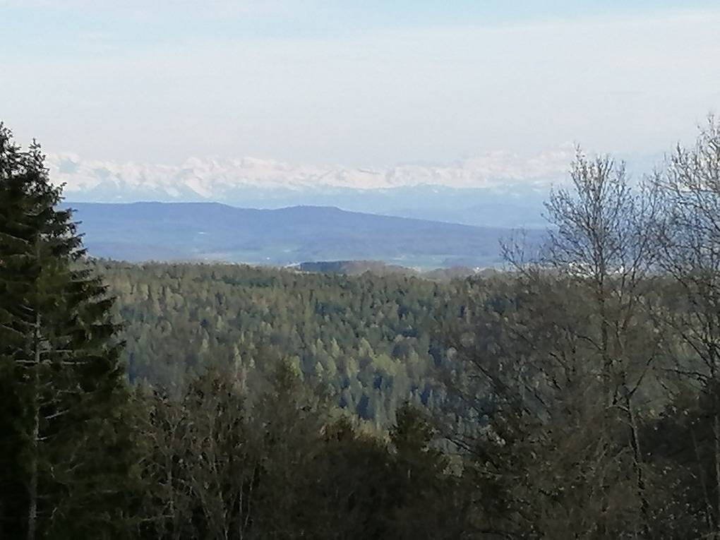 Chalet Charbonnier in Dachsberg, Südschwarzwald