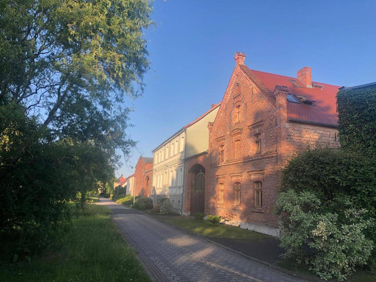 Ganze Wohnung, Apartment with Terrace in Gommern, Elbe-Börde-Heide