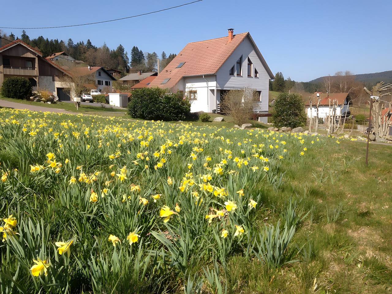 Gästezimmer „Le Chalet des Beuquillons“: Bergblick, private Terrasse, Wlan in Gérardmer, Regionaler Naturpark Belchen der Vogesen