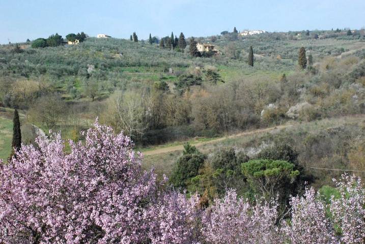 Casa vacanza per 7 persone, con Balcone e Terrazza nonché Giardino e Panorama a Lastra a Signa
