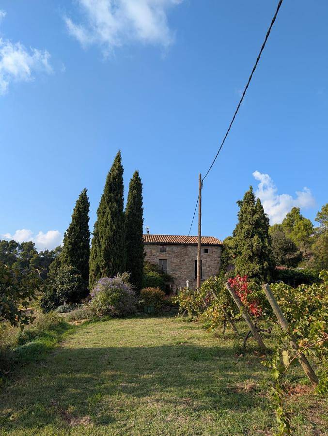 Gîte pour 10 personnes, avec Terrasse ainsi que Jardin et Piscine dans Bages - 2